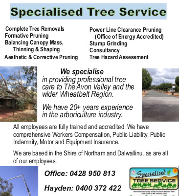 Listing for Specialised Tree Service