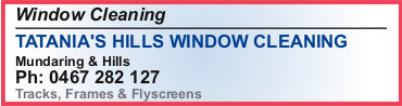 Category listing for Window Cleaning